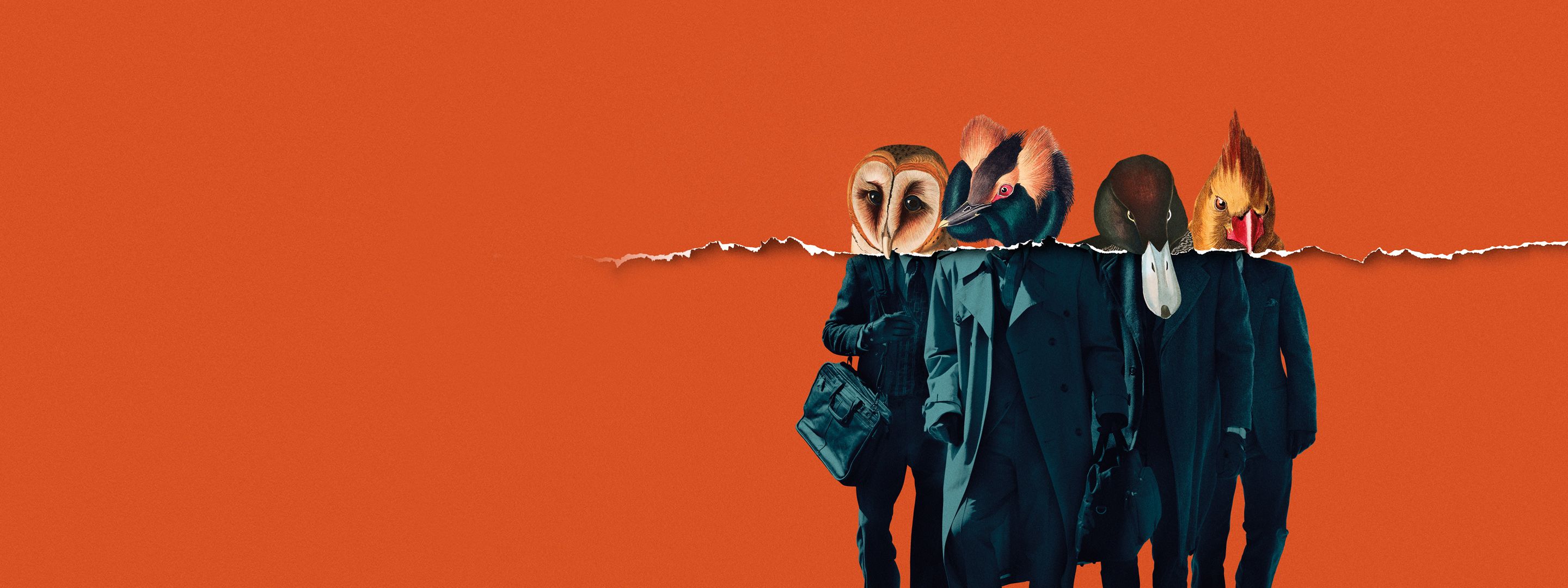 American Animals