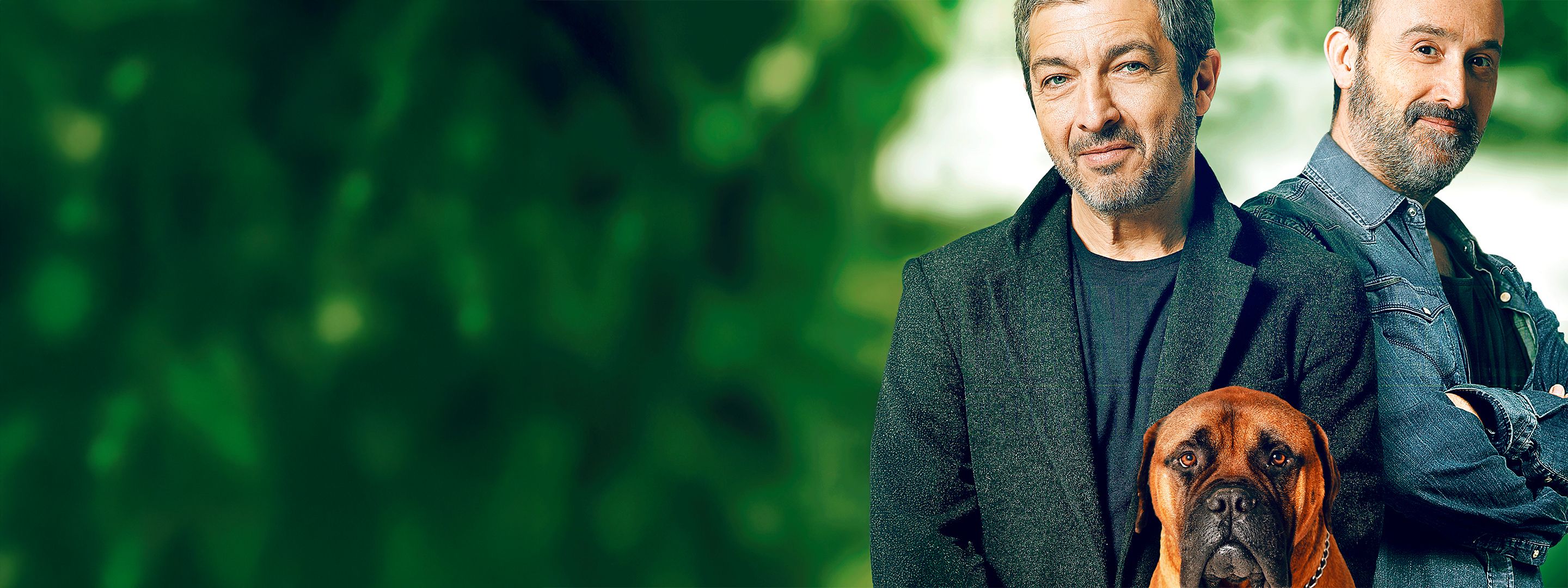 Freunde fürs Leben - Truman