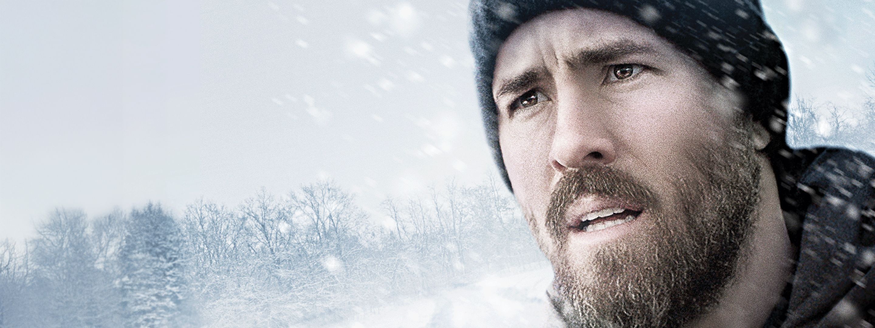 The Captive