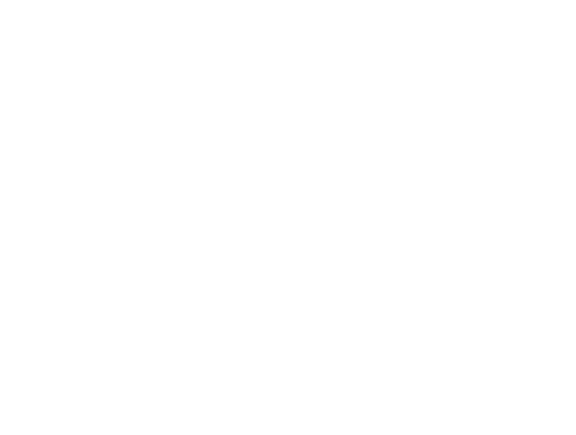 Der Reini