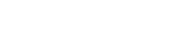 The Porsche 911 Story