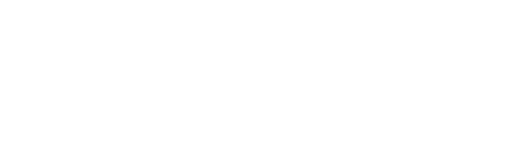 Commissario Montalbano