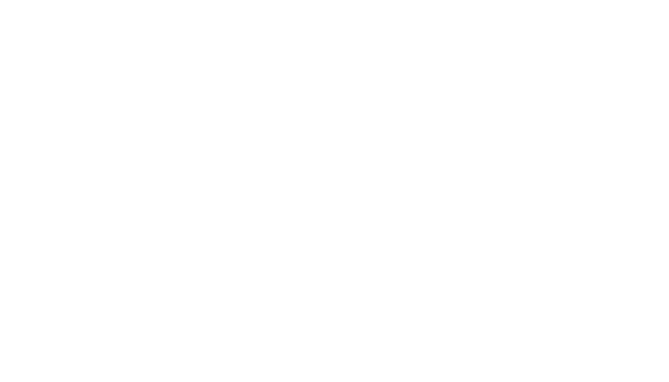 Jupiter's Moon